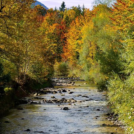 Ferienwohnungen Hollweger Inkl. Chiemgaukarte Ruhpolding Luaran gambar