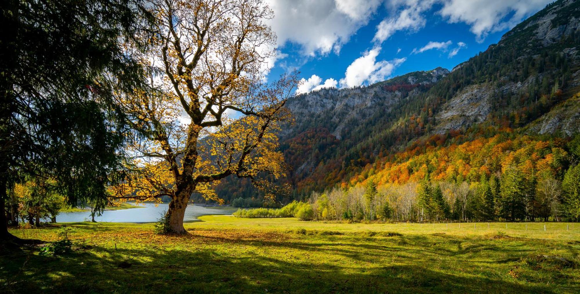 Ferienwohnungen Hollweger Inkl. Chiemgaukarte Ruhpolding Luaran gambar