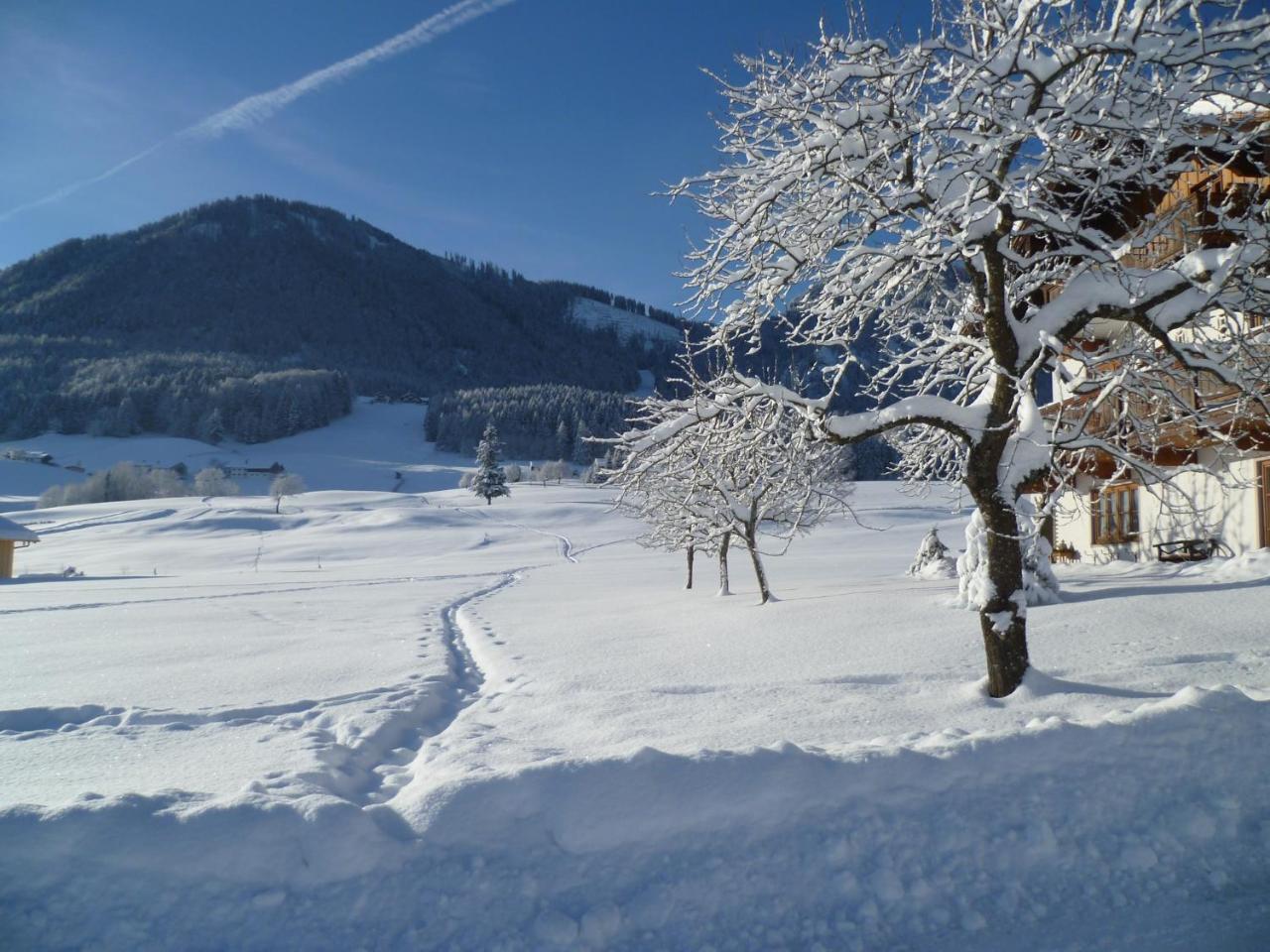 Ferienwohnungen Hollweger Inkl. Chiemgaukarte Ruhpolding Luaran gambar